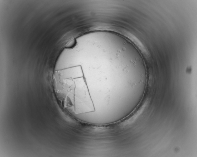 X0000102530849200808221903