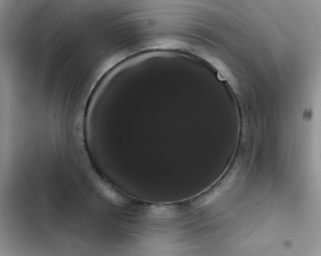 X0000102530850200808221903