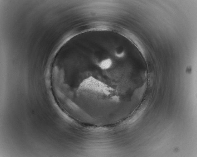 X0000102530851200808221903