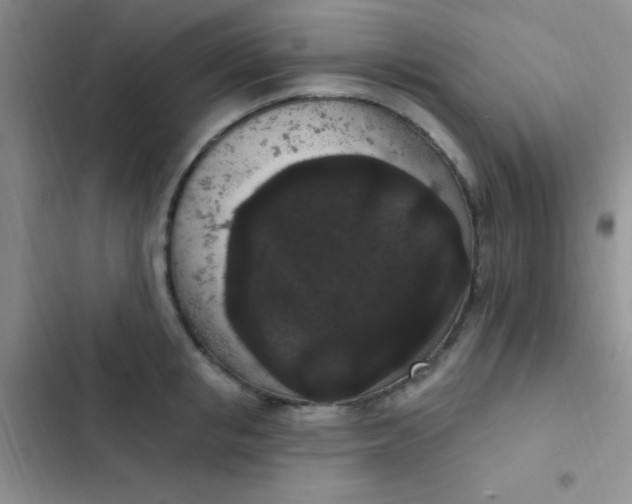 X0000102530853200808221903