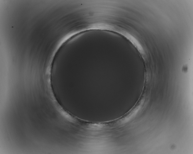 X0000102530854200808221903