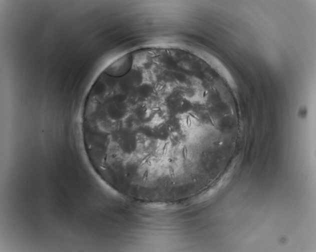 X0000102530855200808221903