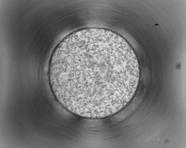 X0000102530856200808221903