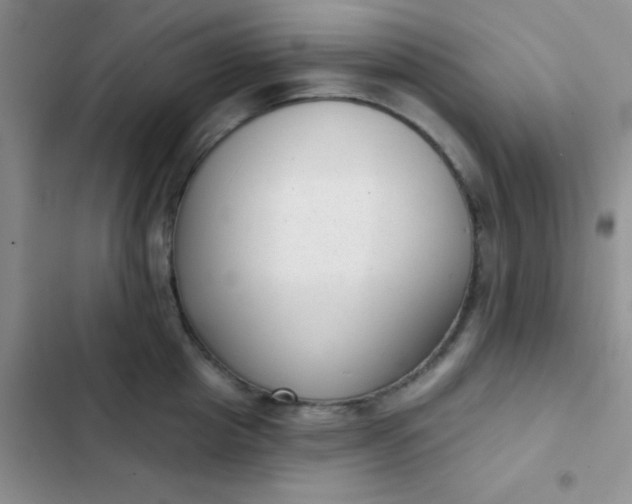 X0000102530857200808221903