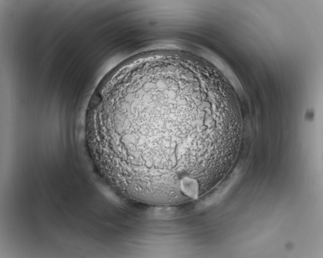 X0000102530858200808221903