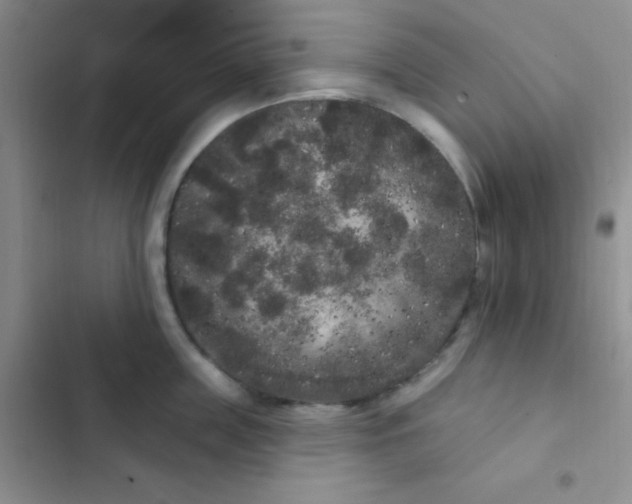 X0000102530859200808221904