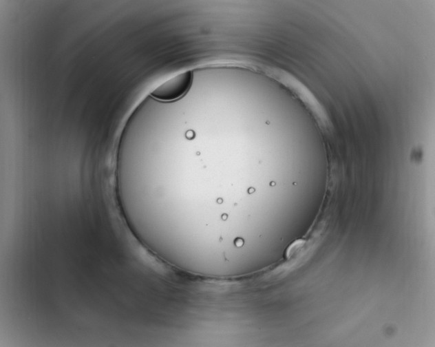 X0000102530860200808221904