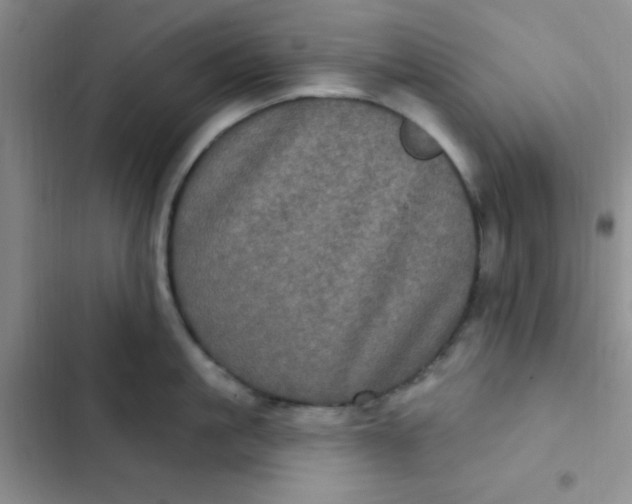 X0000102530861200808221904