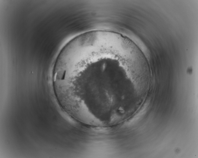 X0000102530862200808221904