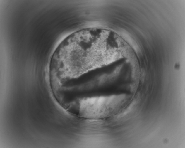 X0000102530863200808221904