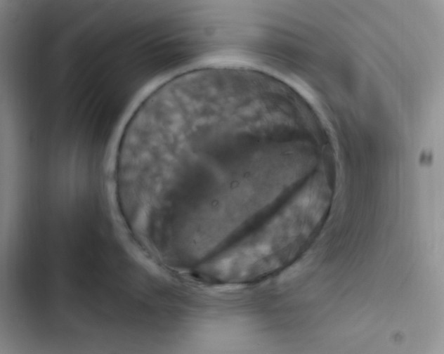 X0000102530864200808221904