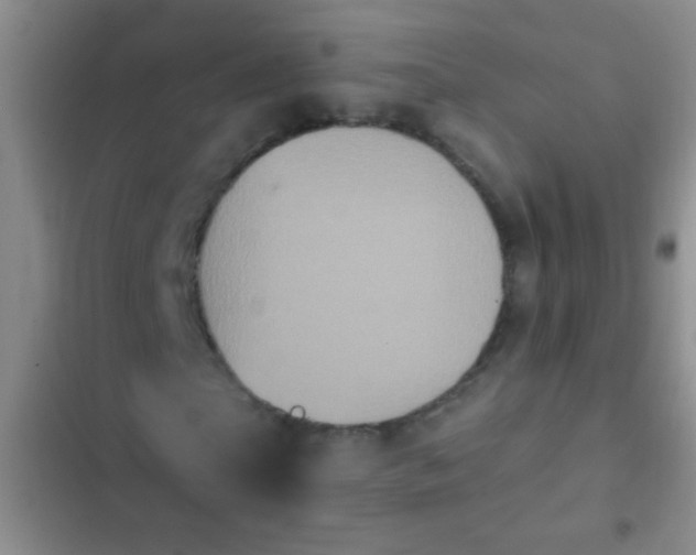 X0000102530865200808221903