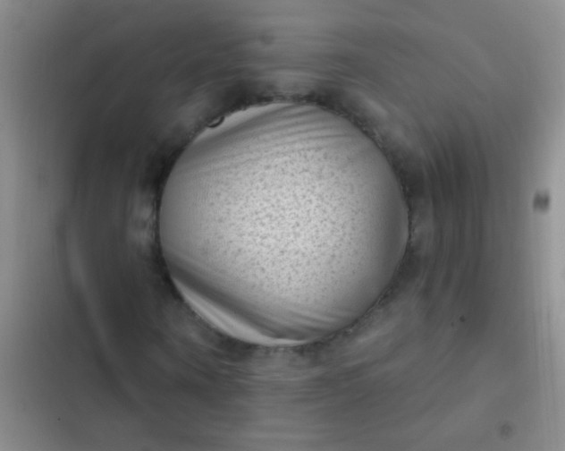 X0000102530866200808221903