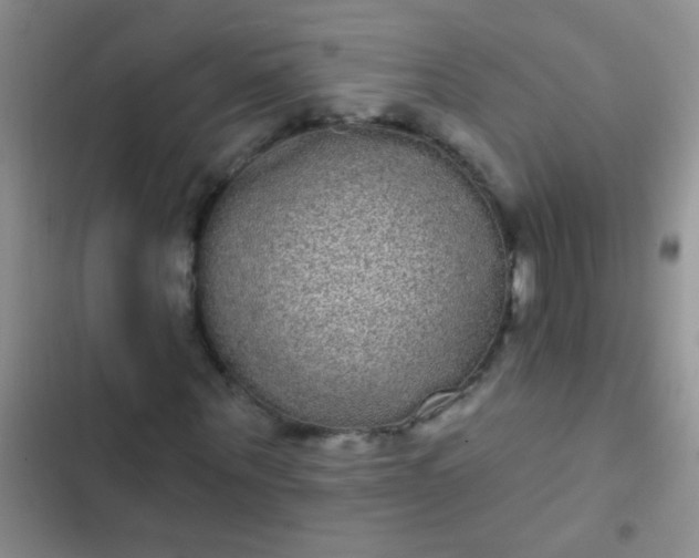 X0000102530867200808221903