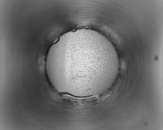 X0000102530868200808221903