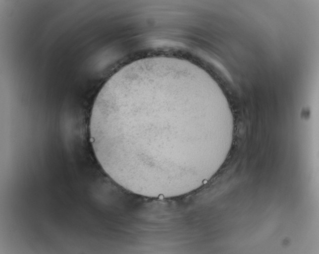 X0000102530869200808221903