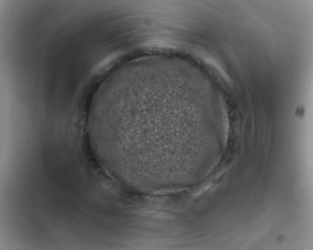 X0000102530870200808221903