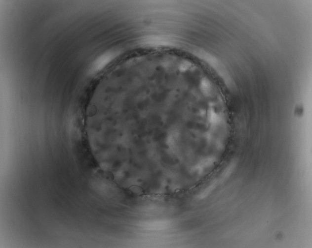 X0000102530871200808221903