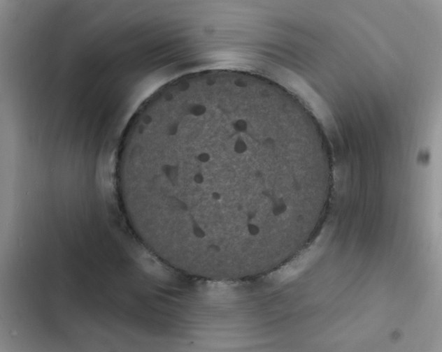 X0000102530875200808221903