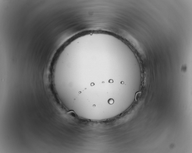 X0000102530876200808221903