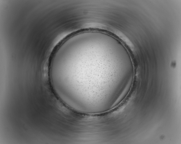 X0000102530877200808221903