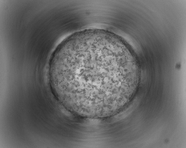 X0000102530878200808221903