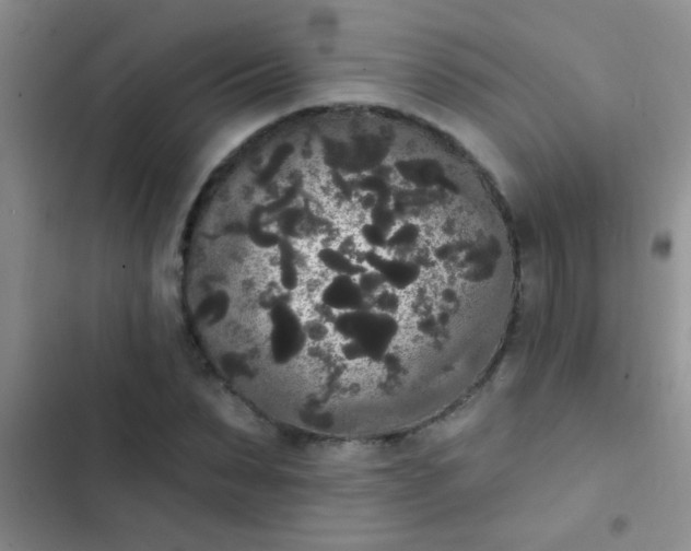 X0000102530879200808221903