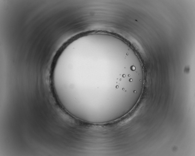 X0000102530880200808221903