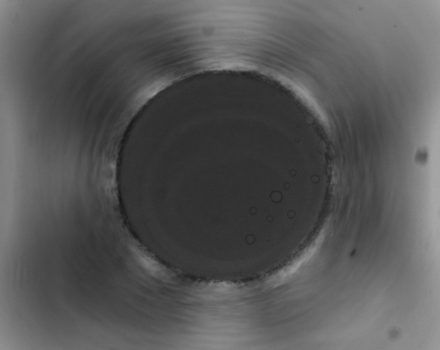 X0000102530881200808221902