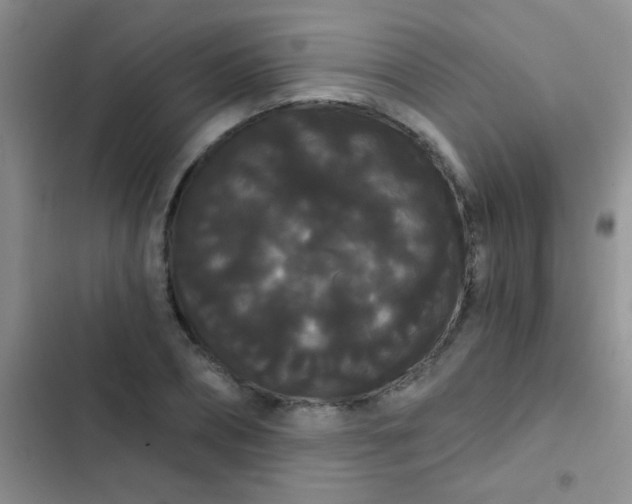 X0000102530882200808221902