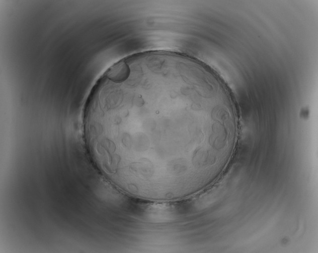 X0000102530883200808221902