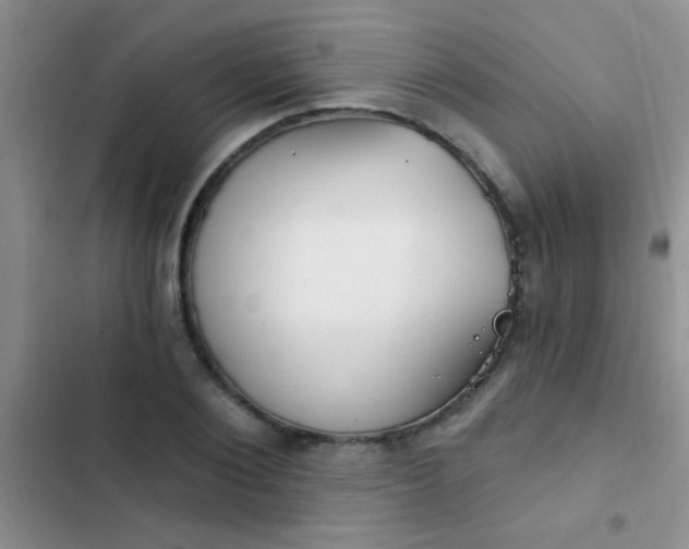 X0000102530884200808221902