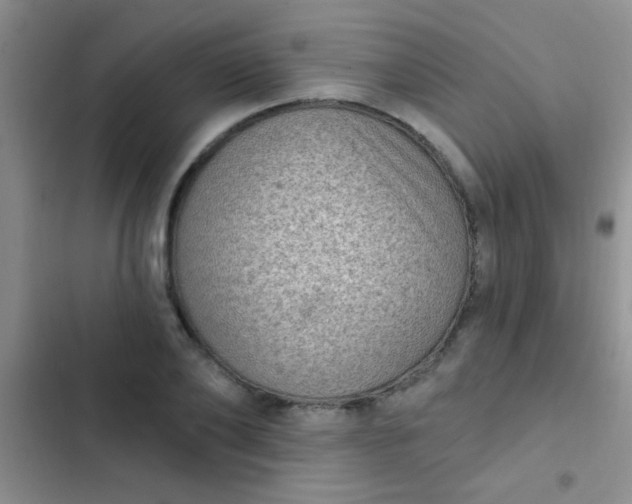 X0000102530886200808221902