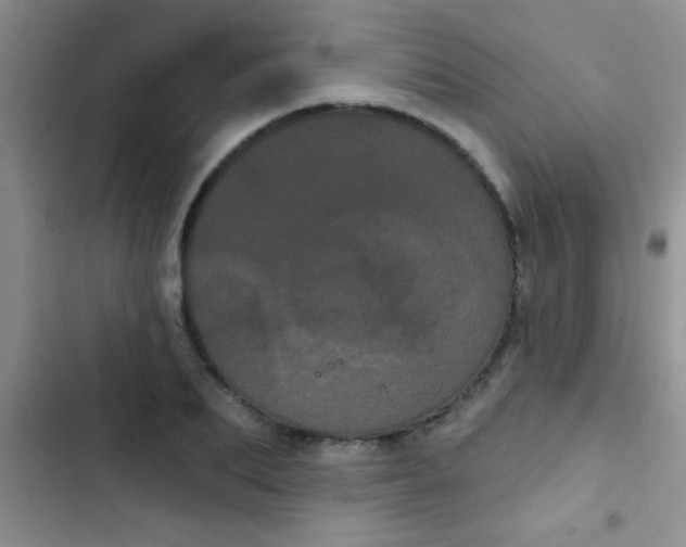 X0000102530887200808221902