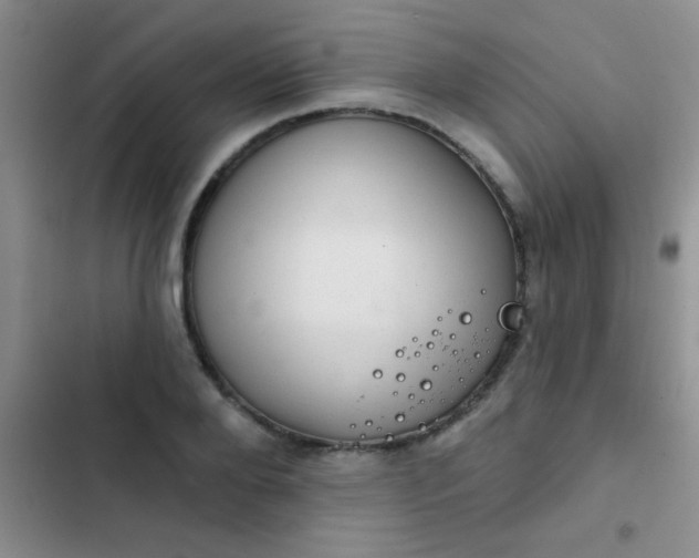 X0000102530888200808221902