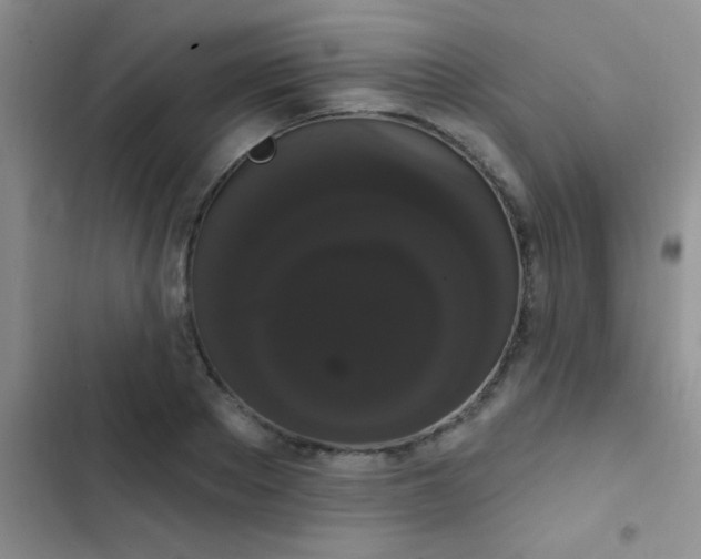 X0000102530889200808221902