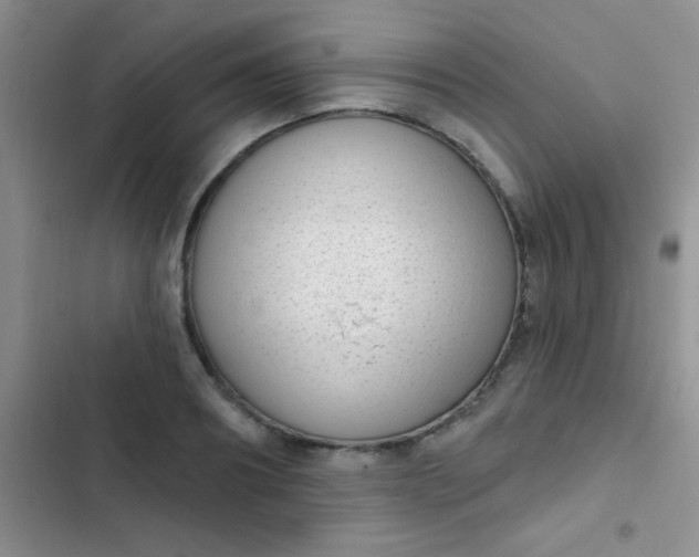 X0000102530890200808221902