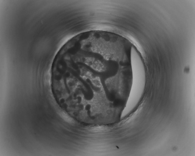 X0000102530891200808221902