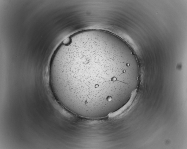 X0000102530892200808221902