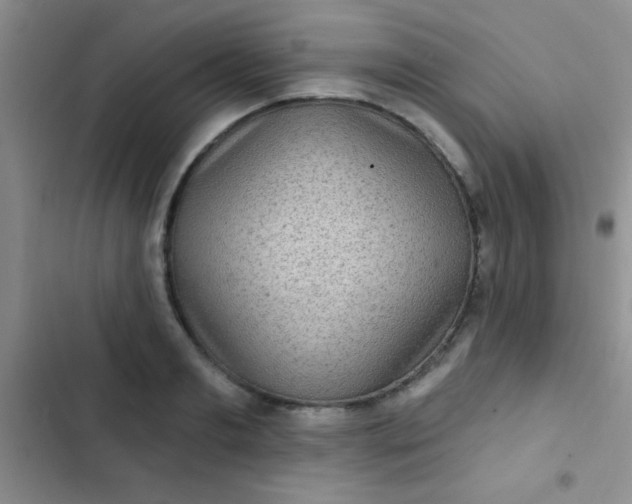 X0000102530893200808221902