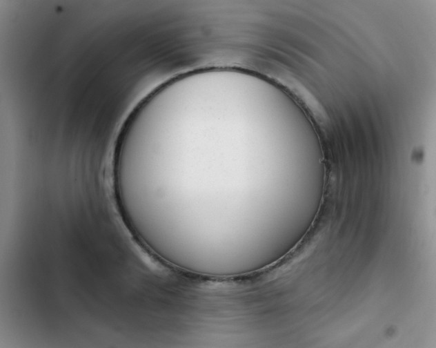 X0000102530894200808221902