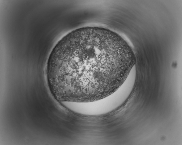 X0000102530895200808221902