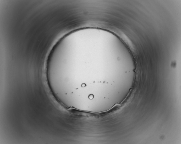 X0000102530896200808221902