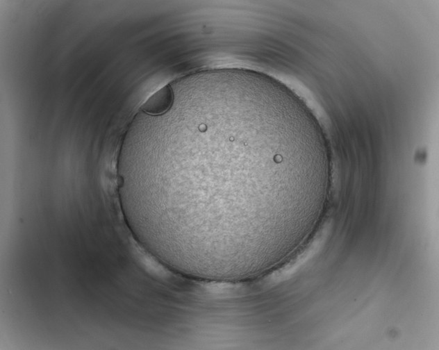 X0000102530897200808221902