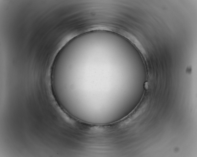 X0000102530898200808221902