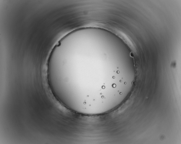 X0000102530900200808221902