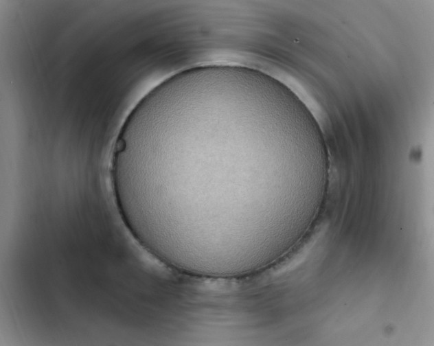 X0000102530901200808221902