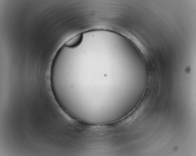 X0000102530902200808221902