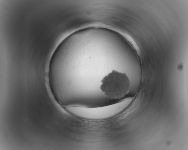 X0000102530903200808221902