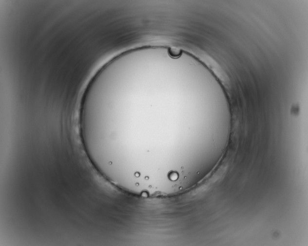 X0000102530904200808221902